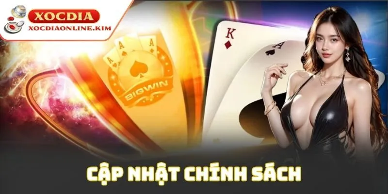 Cập nhật chính sách